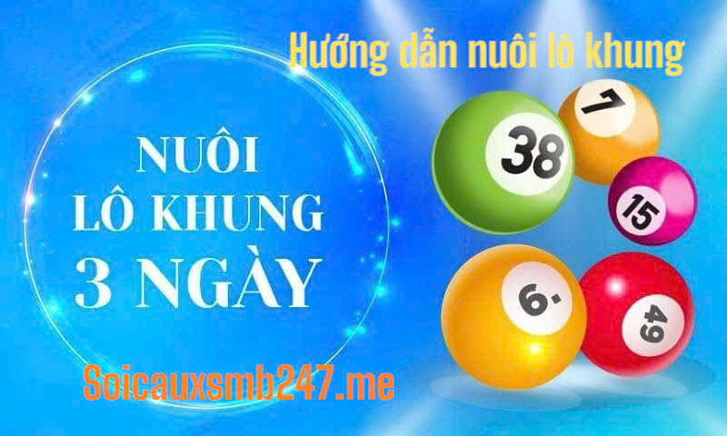 Hướng dẫn nuôi lô rồng bạch kim