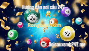 Huong-dan-soi-cau-247-rong-bach-kim