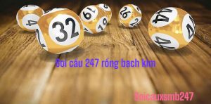 Huong-dan-soi-cau-247-rong-bach-kim