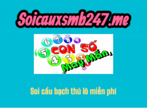 Bach-Thu-Lo-247-Hom-Nay