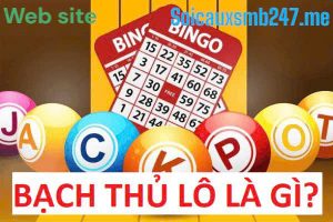 Kinh-nghiem-chơi-lo-bach-thu-bat-bai
