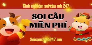 Kinh-nghiem-soi-cau-MB-247-moi-nhat