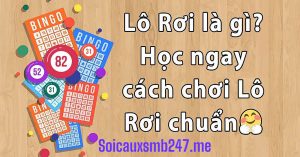 Kinh-nghiem-soi-cau-lo-roi-moi-nhat