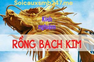 Kinh-nghiem-soi-cau-rong-bach-kim-247-moi-nhat