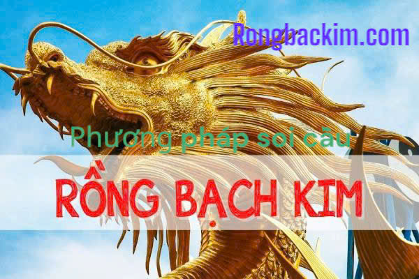 Kinh nghiệm soi cầu rồng bạch kim 247 mới nhất