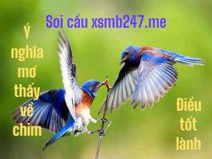 Mo-thay-chim-danh-lo-gi