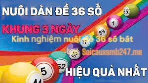 Kinh-nghiem-nuoi-de-36-so