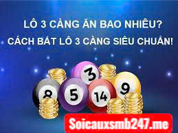 Huong-dan-soi-cau-3-cang-lo-an-thong