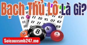 Kinh-nghiem-soi-cau-bach-thu-nam-2025