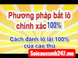 Kinh-nghiem-soi-cau-bach-thu-nam-2025