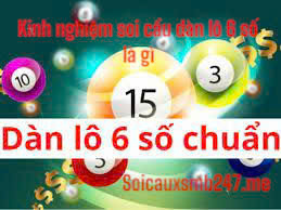 Kinh-nghiem-soi-cau-dan-lo-6-so-moi-nhat