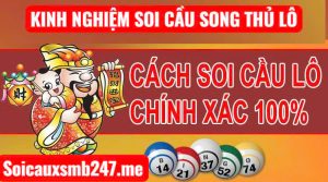 nh-nghiem-soi-cau-song-thu-nam-2025