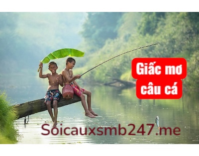 Mơ thấy câu cá đánh con gì