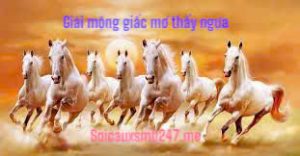 Mo-thay-ngua-danh-con-gi