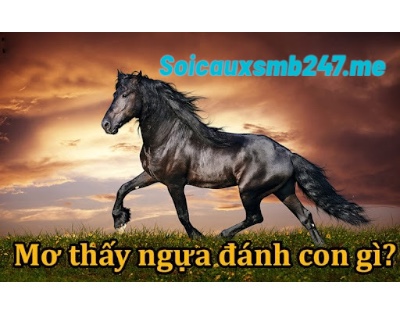 Mơ thấy ngựa đánh con gì