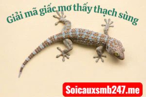 Mo-thay-thach-sung-danh-lo-gi