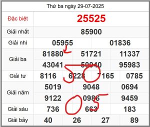 soi-cau-247-ngay-30-07-2025