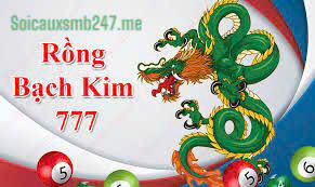 Chot-so-rong-bach-kim-777