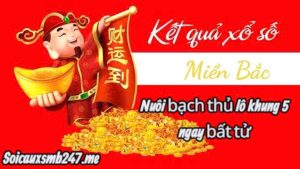 Huong-dan-nuoi-lo-bach-thu-khung-5-ngay-bat-bai