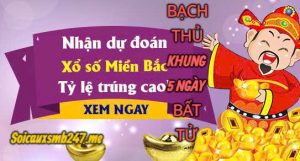Huong-dan-nuoi-lo-bach-thu-khung-5-ngay-bat-bai