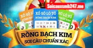 Kinh-nghiem-nuoi-lo-rong-bach-kim