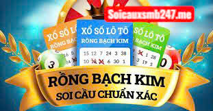 Kinh nghiệm nuôi lô rồng bạch kim
