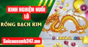 Phuong-phap-nuoi-lo-rong-bach-kim