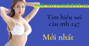 Tim-hieu-soi-cau-mb-247