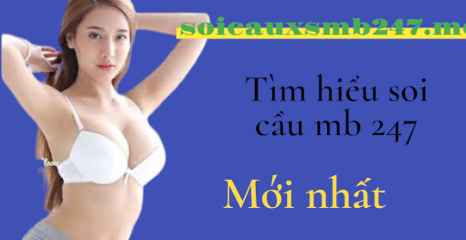 Tìm hiểu soi cầu mb 247 là gì ?