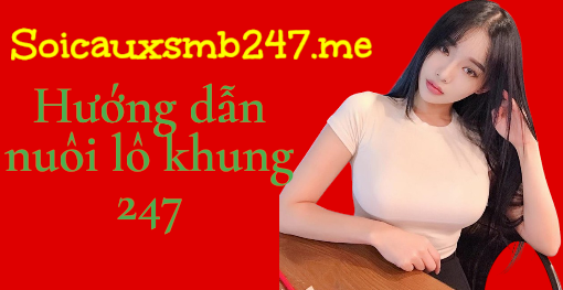 Hướng dẫn nuôi lô khung 247 miễn phí
