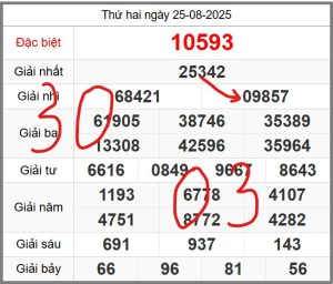 soi-cau-247-ngay-26-08-2025