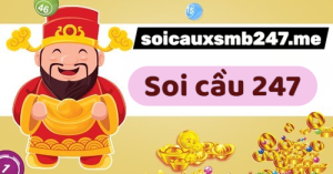 tim-hieu-soi-cau-mb-247