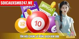 Soi cầu 247 miễn phí ngày 29-05-2026