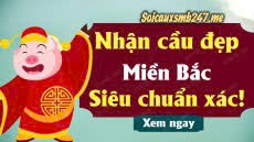 Soi cầu miền bắc ngày 20-06-2026