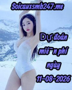 Soi cầu miền bắc ngày 11-08-2026