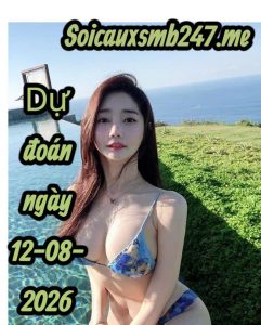 Soi cầu miền bắc ngày 12-08-2026